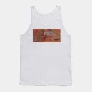 Study of Rocks, Petra by Frederic Edwin Church Tank Top